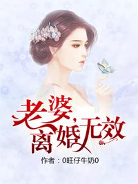 老婆离婚无效小说全章节
