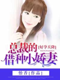 好孕天降总裁的借种小娇妻小说完结版