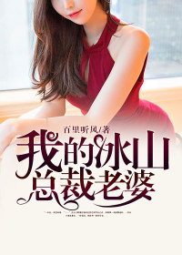 我的冰山总裁老婆小说全文免费