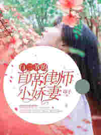 「白二爷的首席律师小娇妻白晟严」小说完结篇资源阅读地址分享