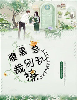 腹黑总裁别乱撩小说免费阅读