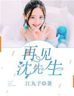 再见,沈先生完结版阅读