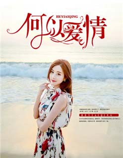 何以爱情小说全文阅读