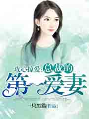 攻心掠爱:总裁的第一爱妻