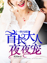 一秒闪婚:首长大人夜夜宠
