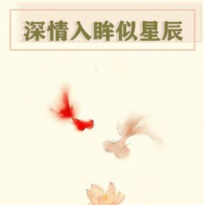深情入眸似星辰