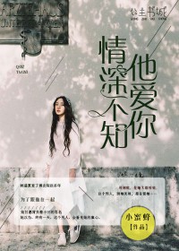 时光只为你停留傅念琛小说全集资源链接