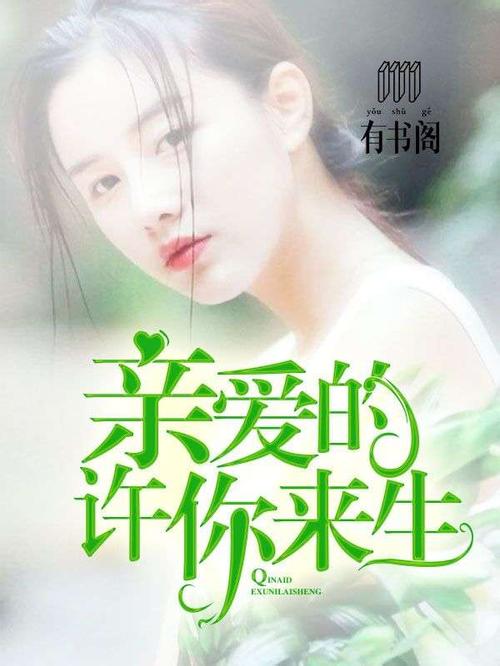 亲爱的许你来生（言小念萧圣）小说