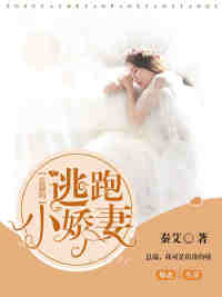 总裁的逃跑小娇妻小说完结版