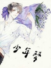 少年梦王二柱林芳全本小说试读