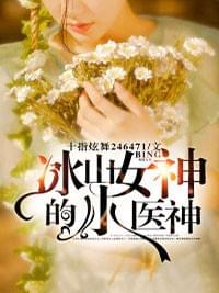 冰山女神的小医神小说全章节试读