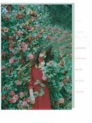 浮光尽头只有你小说全章节免费