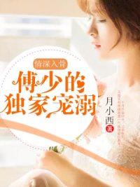 情深入骨,傅少的独家宠溺慕微澜傅寒铮小说全章节阅读入口