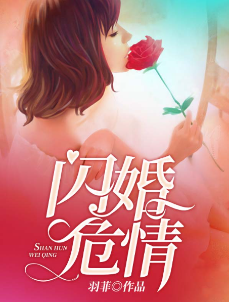 闪婚危情