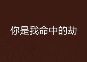 你是我的命中劫