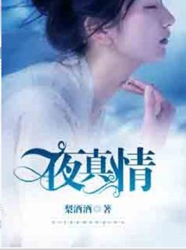 一夜真情