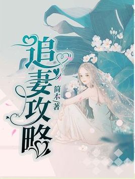 追妻攻略