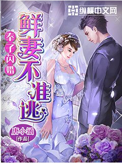 奉子闪婚：鲜妻不准逃
