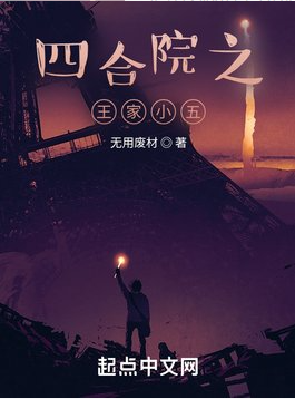 四合院之王家小五