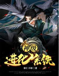 神级进化系统